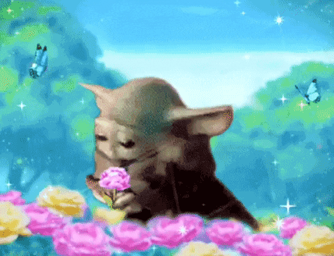 Stop & smell da roses