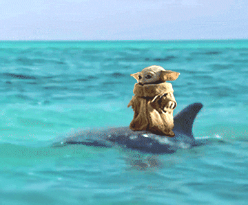 Grogu rides dolphin